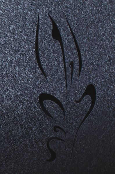 Печь булерьян rud pyrotron кантри с варочной поверхностью 10 кВт [тип 01] +стекло Кантри вароч 01стекло фото