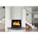Каминная топка Tarnava Elegance 18 кВт Tarnava Elegance 18 фото 3