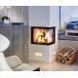 Каминная топка Spartherm Varia 2R-55h GET DH 75632 фото 3